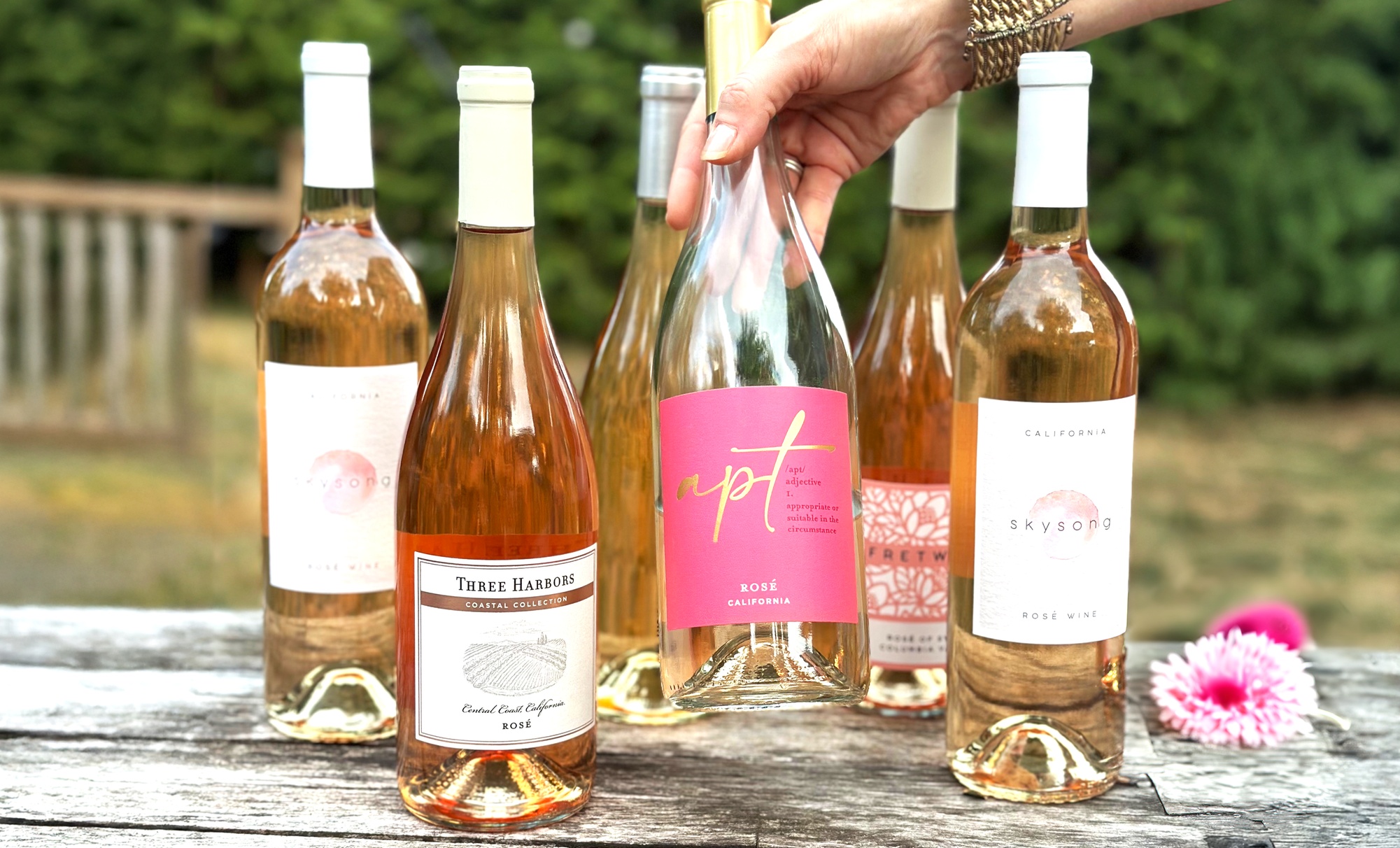 Choose 6 or 10 Bottles from Swirl Wine Shop 