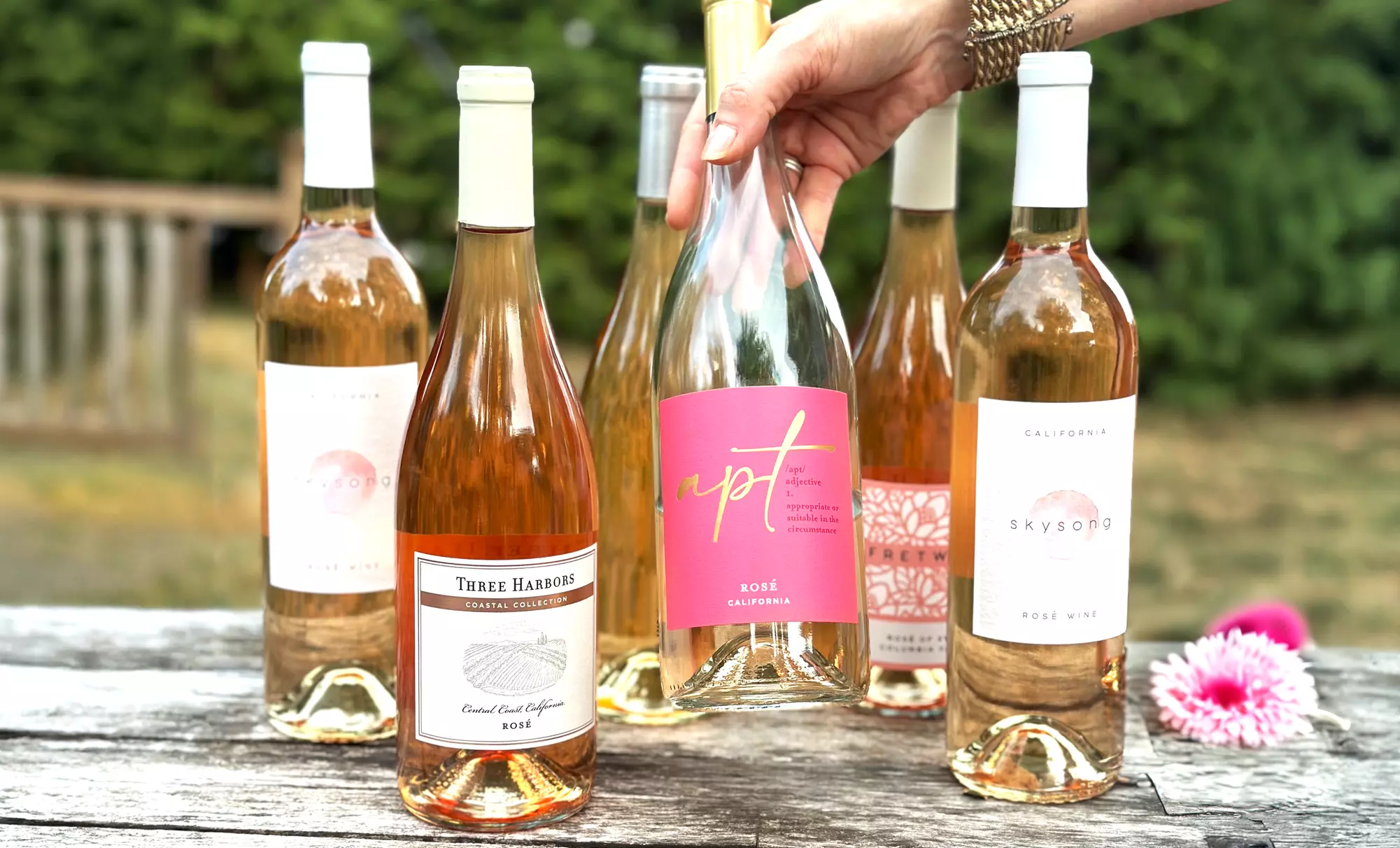 Mother's Day Rosé: Choose 6 or 10 Bottles from Swirl Wine Shop 