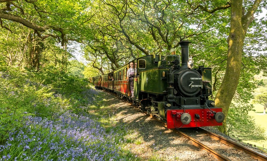 Image 4: Talyllyn Railway Ticket