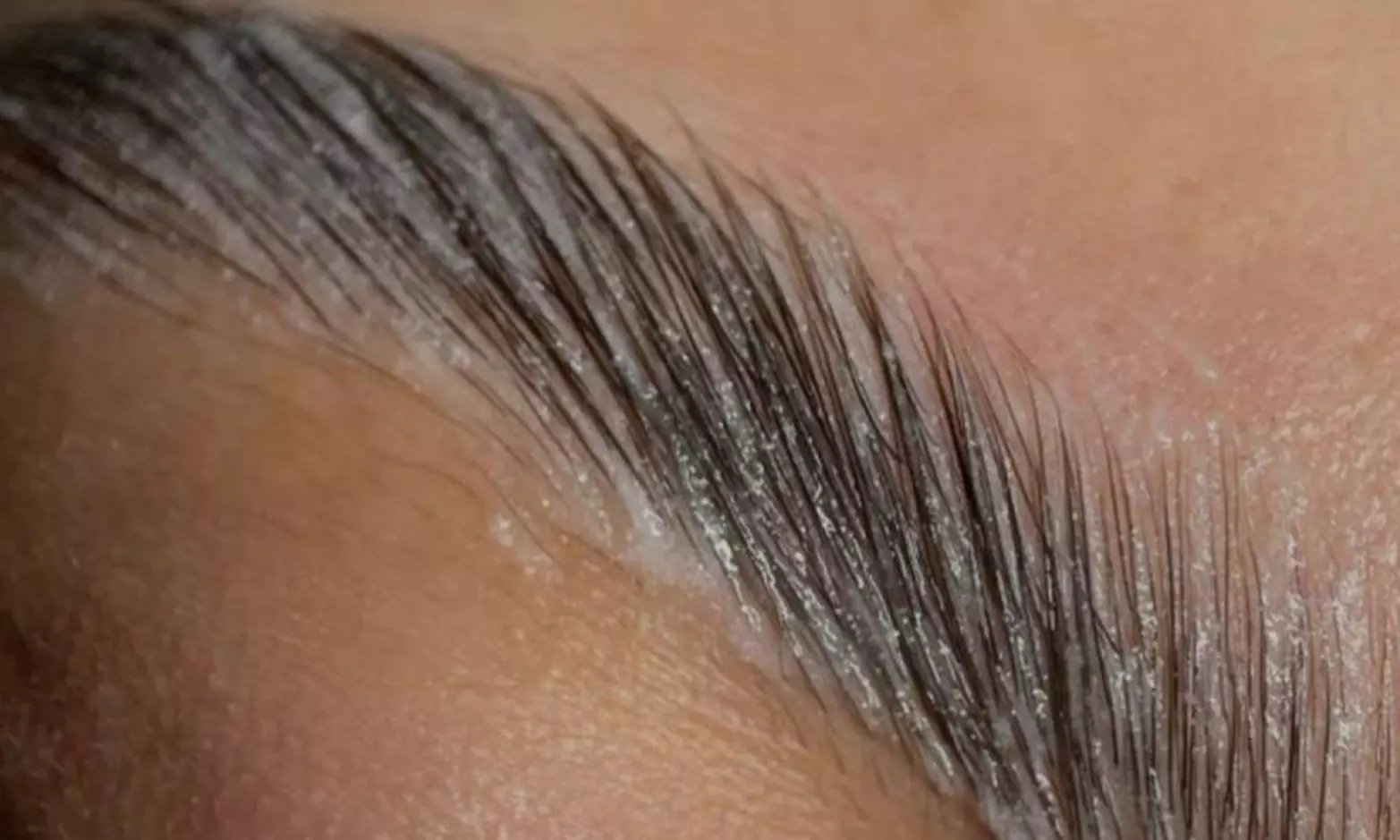 1, or 2 Lash Lift & Tint, or Brow Lamination, Lash Lift, Tint, & Wax