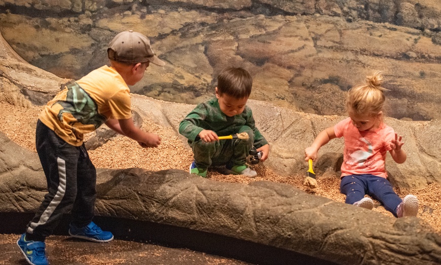 Image 5: Explore World Class Natural History, Dinosaurs and Live Animals
