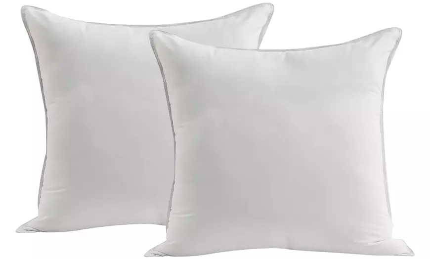 Image 5: Oreiller microfibre. Sampur