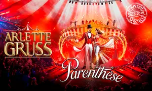 1 place pour le Cirque Arlette Gruss à Reims, date et catégorie au choix (jusqu'à 16% de remise)