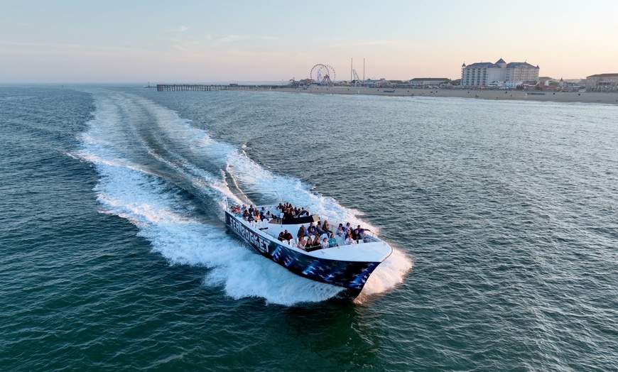 Image 2: Dolphins, Speed & Sunsets—Cruises for All Ages!
