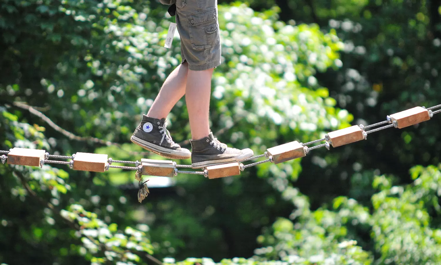 Enjoy an Explorer Fun Day Nets Adventure For Diverse Age Groups
