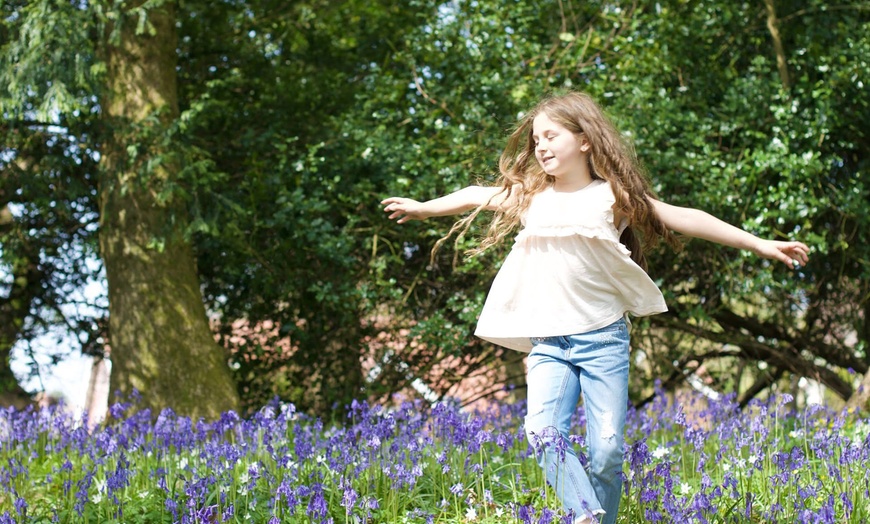 Image 7: Capture Family Magic with a Local Photoshoot in Swansea!