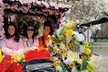 Experience the Beauty of Central Park from the Comfort of a Pedicab (Up to 35% Off) - Second Medium
