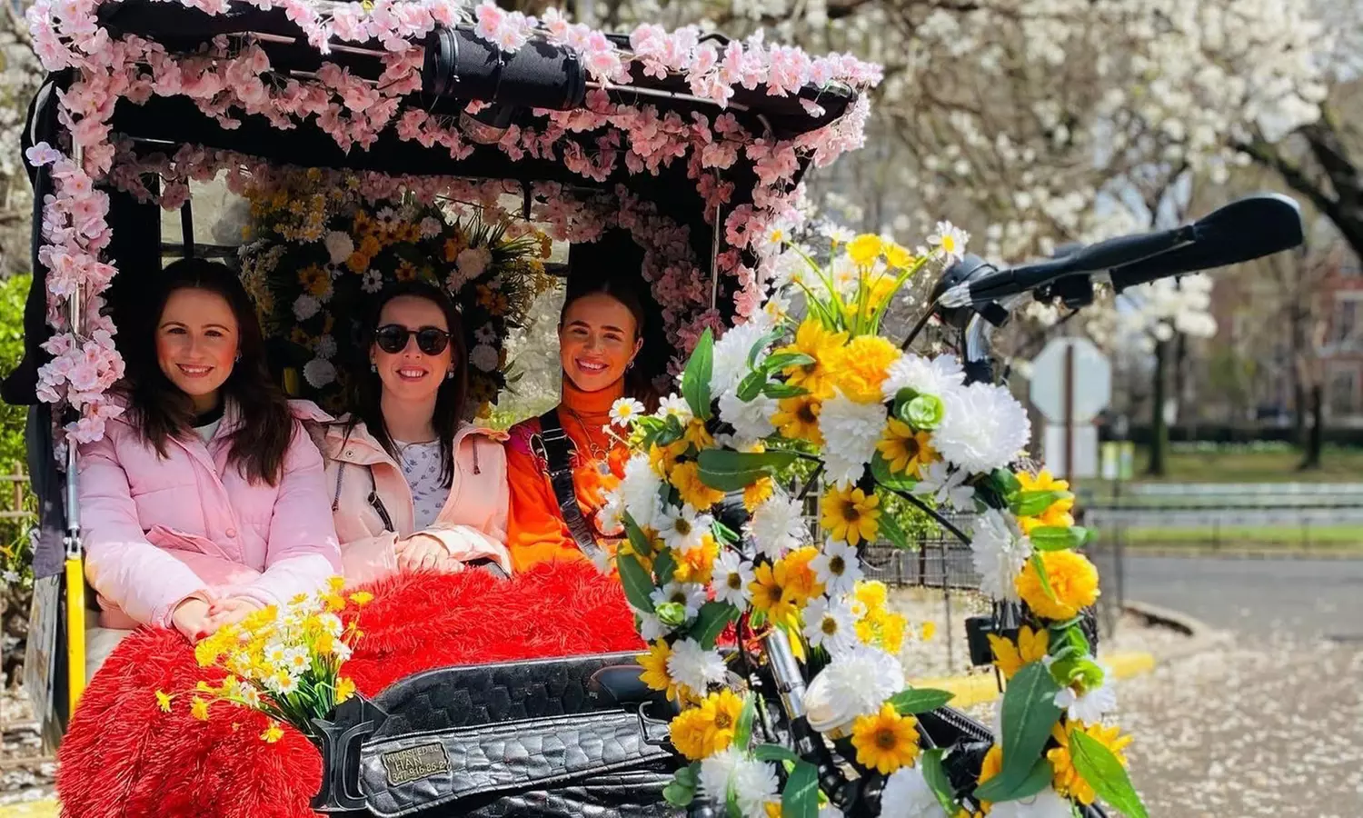 Explore Iconic Central Park with Private One or Two-Hour Pedicab Tour