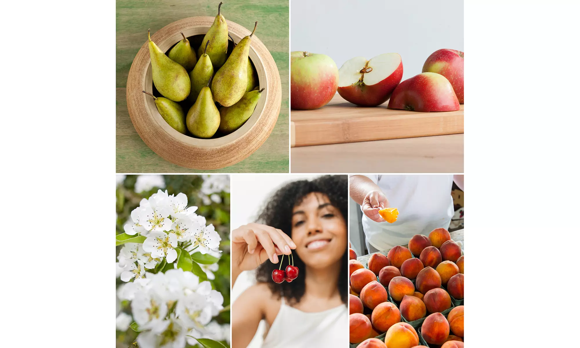 3, 5 of 10 fruitbomen