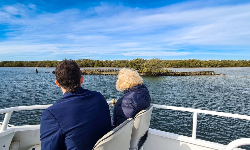 Image 7: 90-Minute Port River Dolphin & Ships Graveyard Cruise