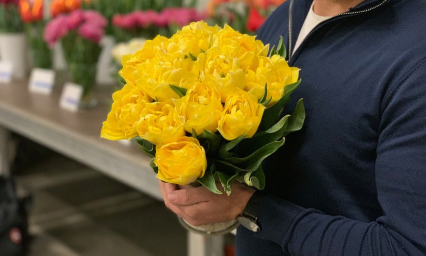 Image 4: Up to 36 Bulbs of Tulip Pastel Mix Collections