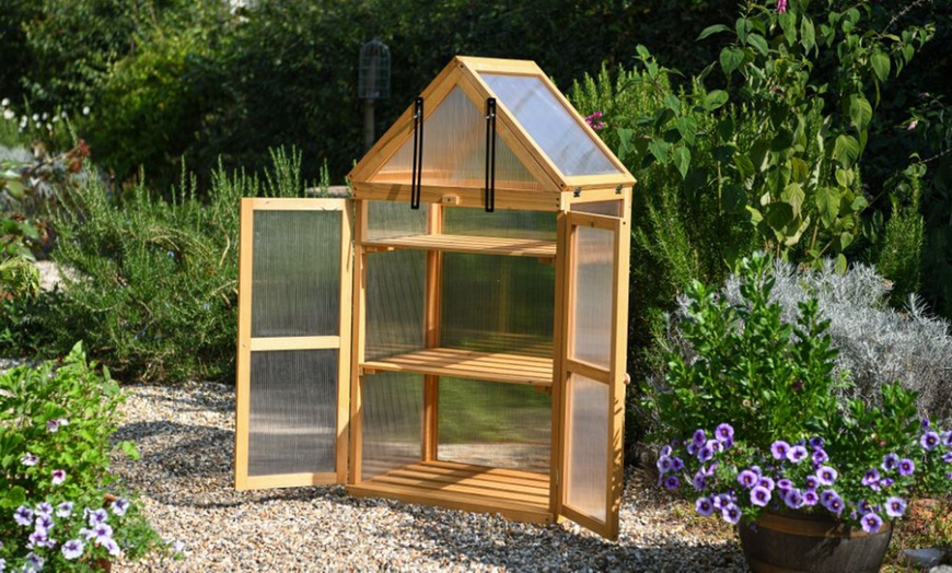 Image 2: Garden Gear Wooden 3-Tier Greenhouse or XL Cold Frame
