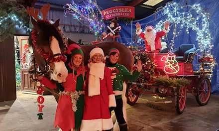 Santa Experience for 1 Adult & 1 Child- 06/12, 12pm - Peggyslea Farm