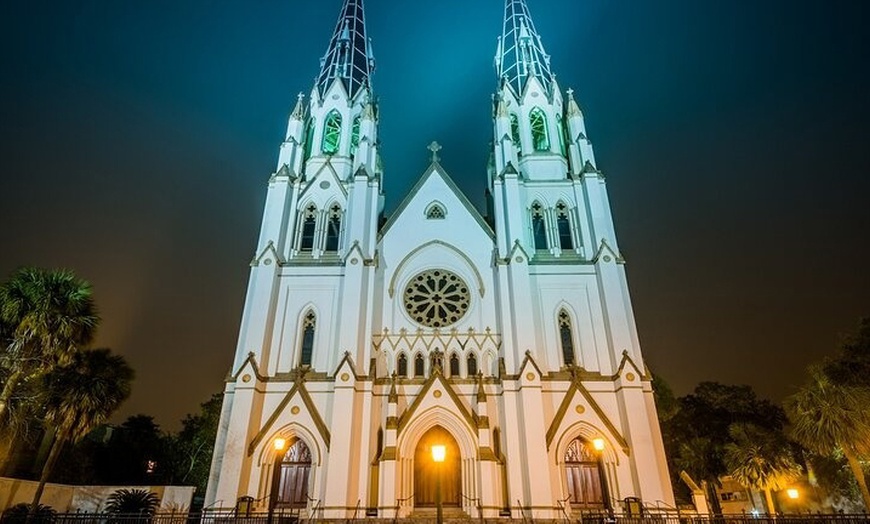 Image 3: 3-Hour Savannah Land & Sea Tour w/ Expert Guides: Adult & Child Ticket