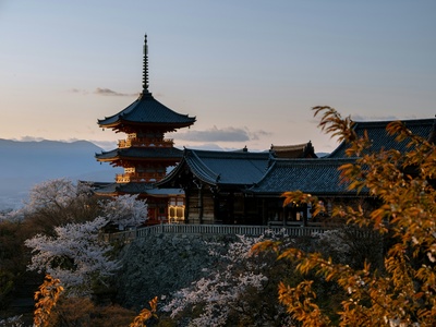 8 Nights for One; 1 Jan ’26 - Japan Essentials Tour