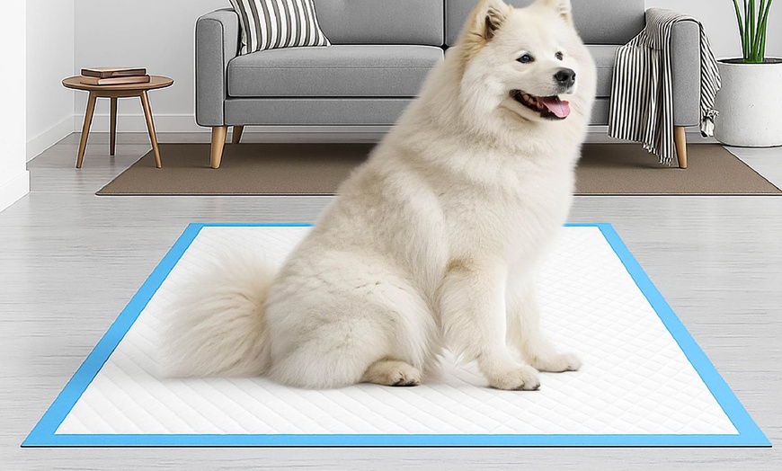 Image 2: Fino 200 tappetini assorbenti per cani e gatti