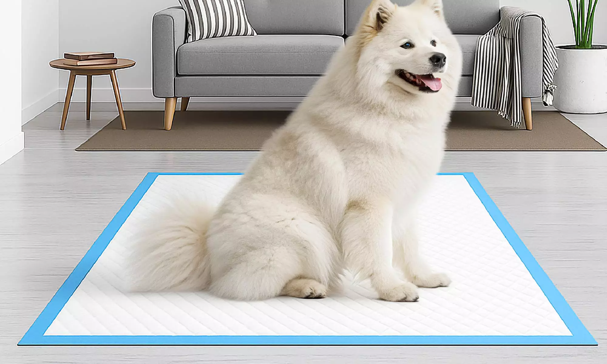 Fino 200 tappetini assorbenti per cani e gatti