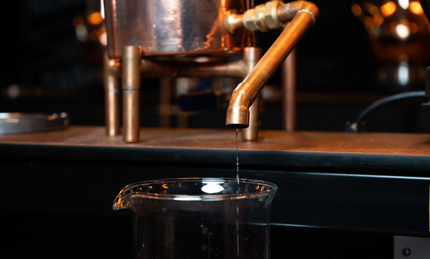 Image 9: The Guided Spirit Academy Experience at Bros Distillery for 1, 2 or 4