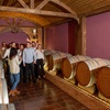 Image 23: Visita guiada a bodega con cata de 4 vinos, 2 AOVE y embutidos