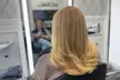 Women's Blowout or Haircut + Conditioning + Opt Style & Single Process at Moxie Salon (Up to 56% Off) - Second Medium