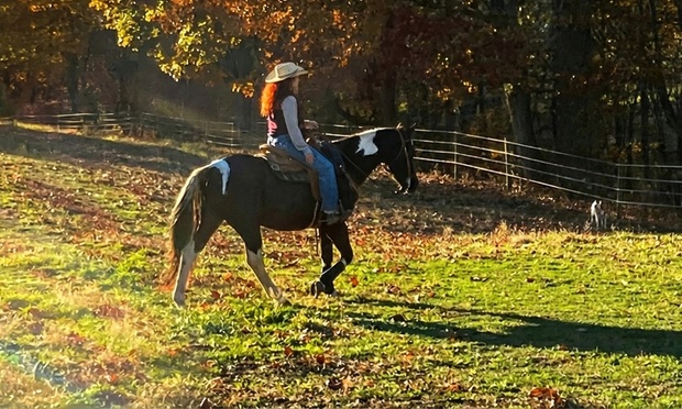 What to expect media