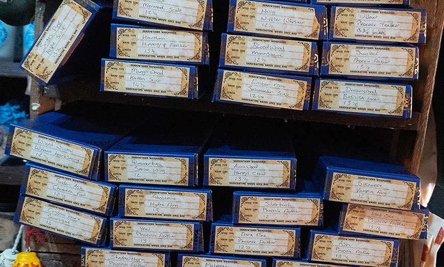 Image 4: Unlock the Magic Within: Wand Experience Adventures for One or Two