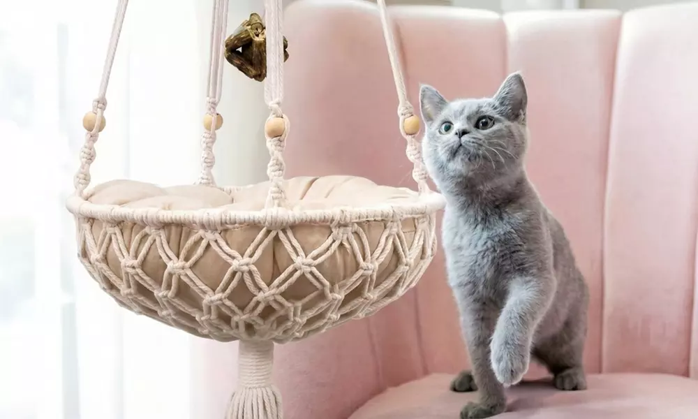 Handwoven Cotton Rope Semi-Enclosed Cat Bed