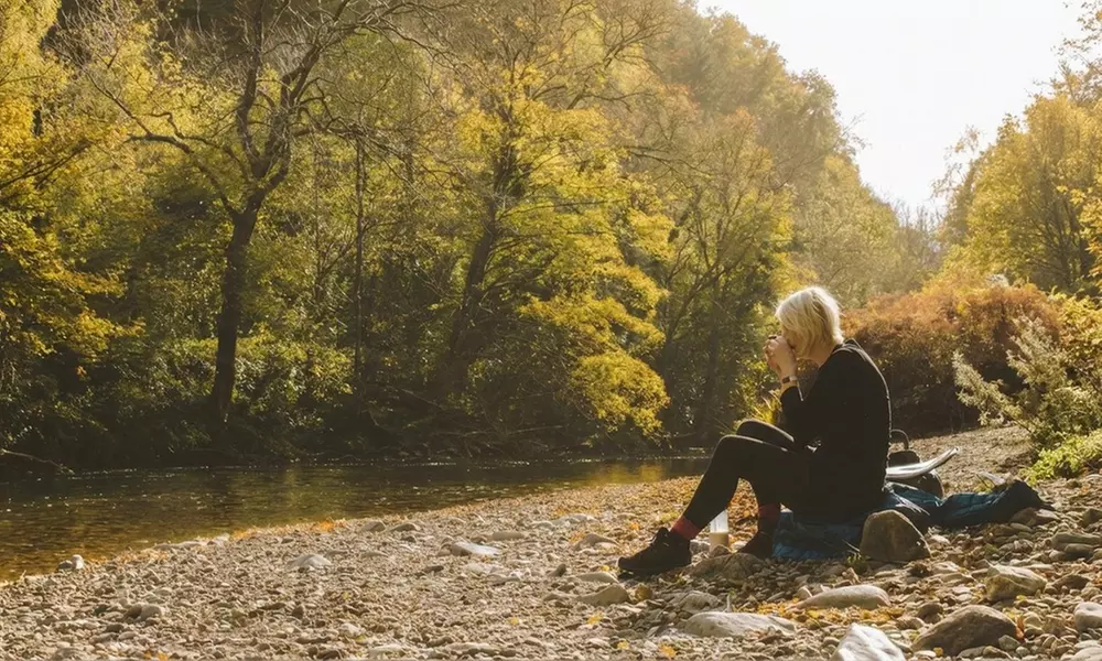 Elevated Treetop Walk & Viewing Tower – Panoramic Wicklow Views