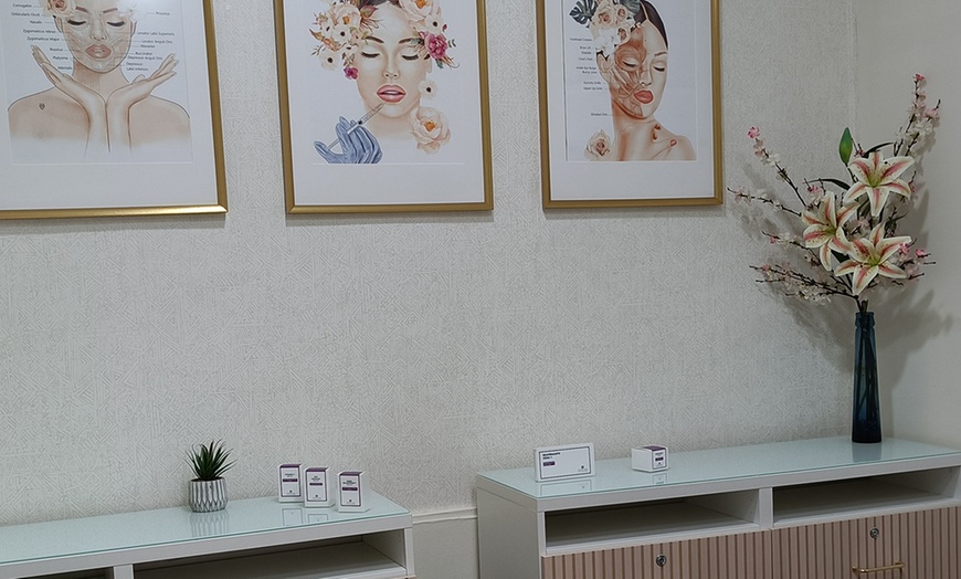 Image 5: Hidralips o Colorlips, hidratación profunda y color semipermanente