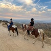 Image 10: Guided Horseback Riding: Sunset, Adventure & Beach Trails
