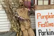 Discover Chris' Farm Stand's  $15 or $20 Voucher Towards Pumpkin Purchase or One Hayride  (Up to 33% Off) - Second Medium