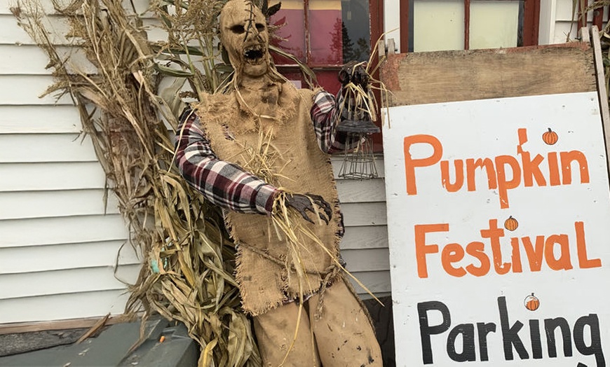 Image 6:  Enjoy $15 or $20 Voucher Towards Pumpkin Purchase or One Hayride 