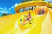 GetOutPass North Florida: Year-round Access to Top Attractions and Unlimited Fun (Save 50%) - Second Medium