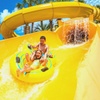 Image 4: Year-Round Thrills at North Florida’s Top Attractions