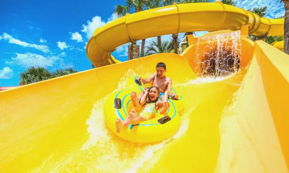 Year-Round Thrills at North Florida’s Top Attractions