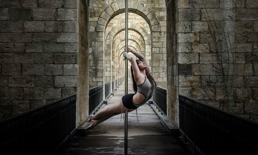 Cours De Pole Dance à Chenôve In Shape Groupon