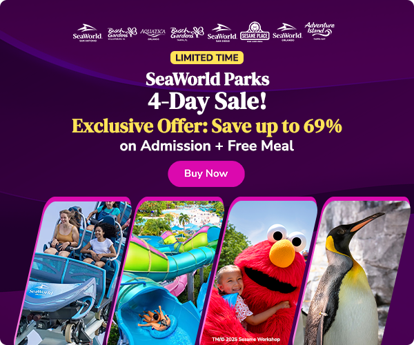 Groupon