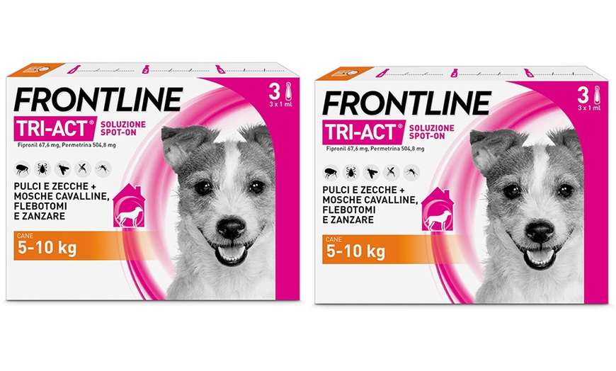 Image 14: Fino a 12 pipette Frontline Tri-Act® Spot-on per cani