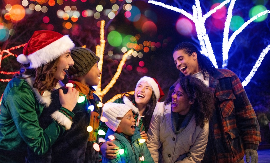 Image 1: Dutch Winter Wonderland Admission