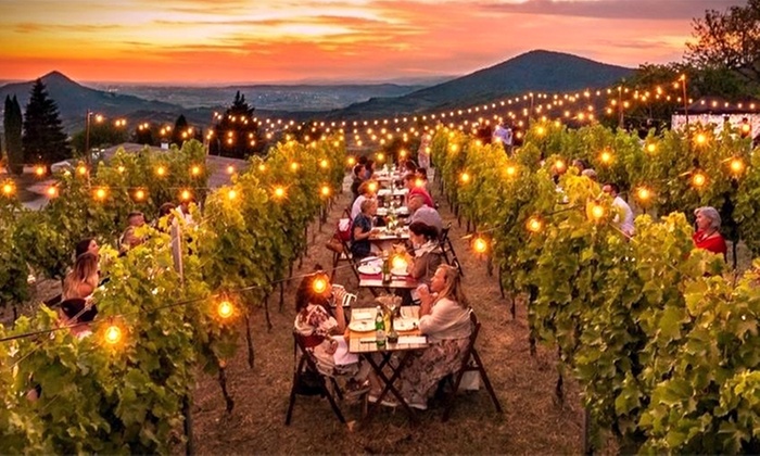 Italian Tuscan Dinner or Grandma's Pasta Cooking Class for Solo/Couple