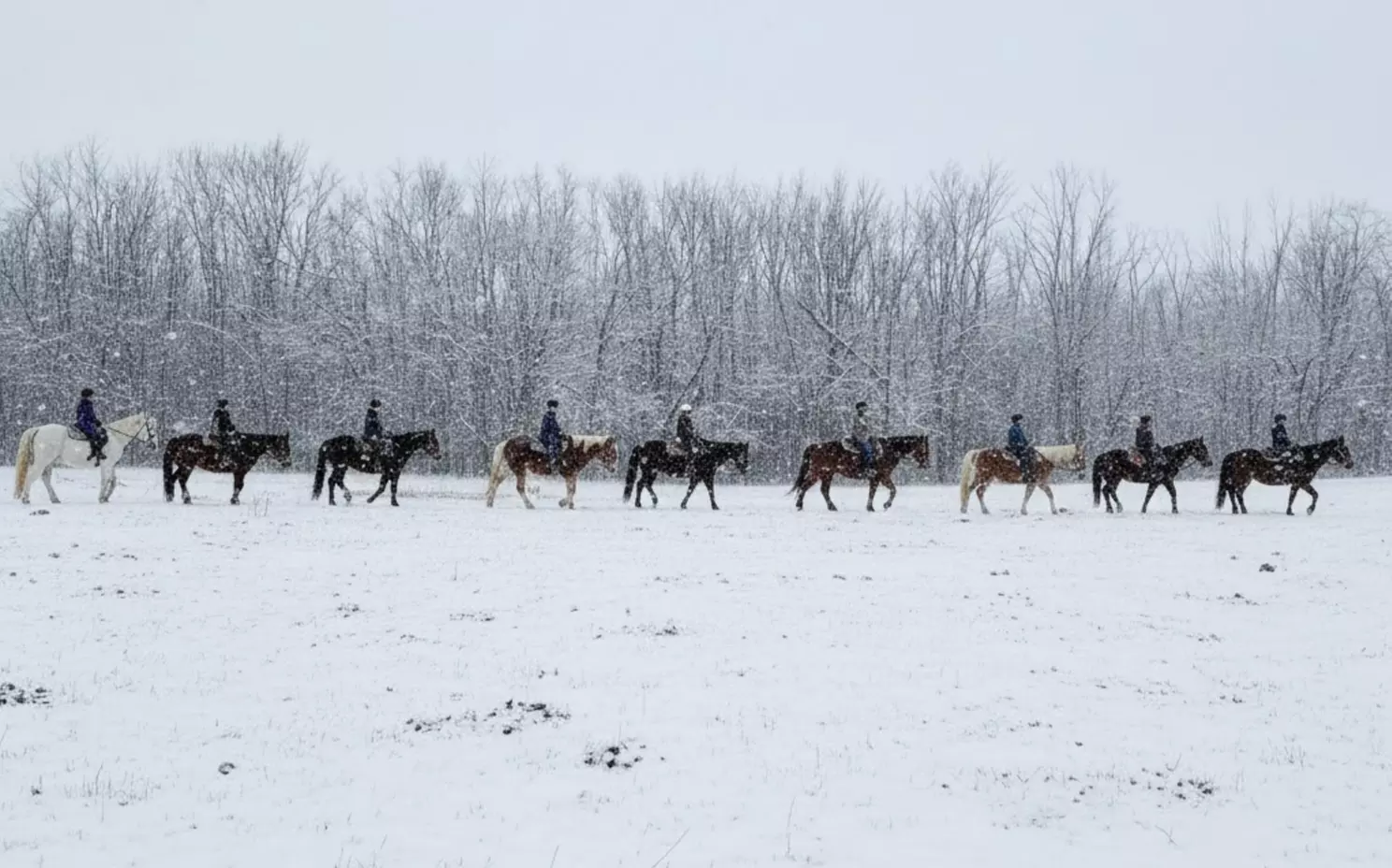 Snowy Horseback Trail Ride Through Hudson Valley (45 Minutes)