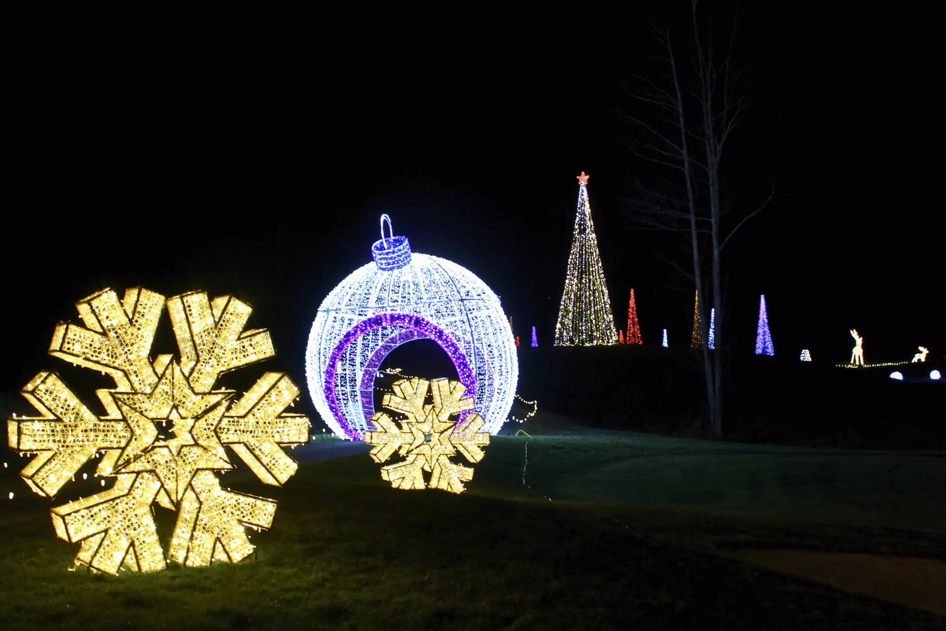 Sparkling Holiday Lights at Labelle Winery in Derry, NH