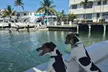 Explore Miami's waters with Two, Four or Six-Hour Yacht Rental For Up to Six (Up to 55% Off) at Boat Rental - Second Medium