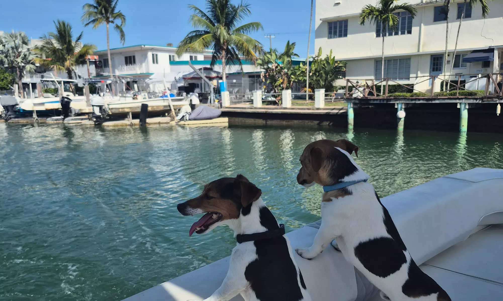 Enjoy Two, Four or Six-Hour Yacht Rental For Up to Six People 