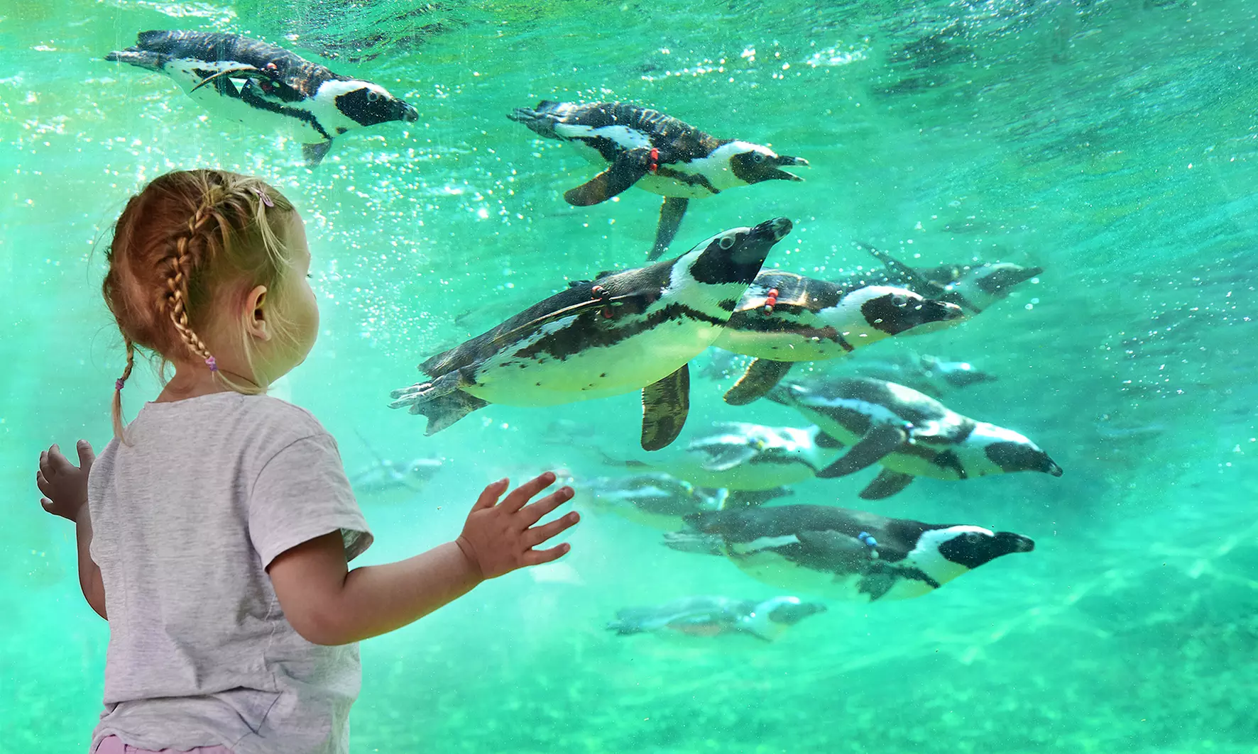 Tagesticket: ZOOM Erlebniswelt