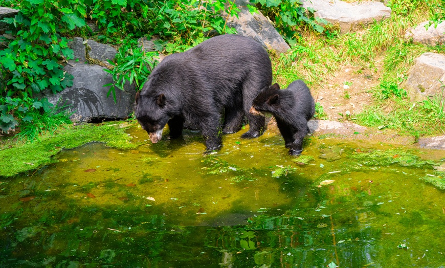 Image 12: Einzigartig wild: Tageskarten für den Zoo Duisburg
