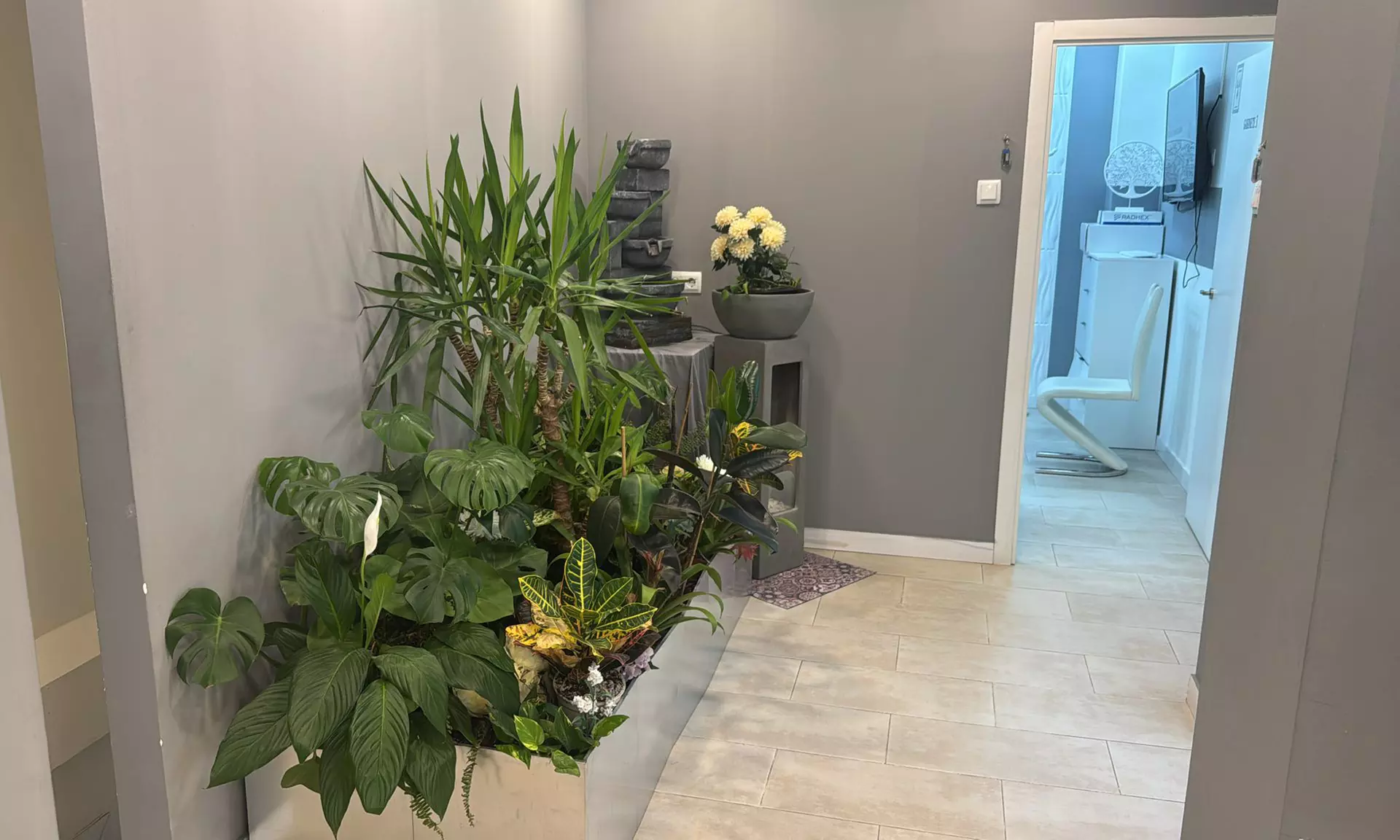 Limpieza bucal, flúor, diagnóstico o curetaje con limpieza y revisión