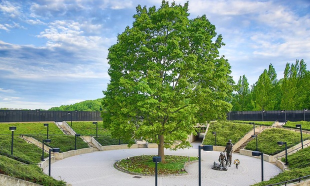 What to expect media