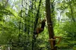 Une entrée accrobranche en basse ou haute saison à Adventure Park (jusqu'à 33% de remise) - Second Medium