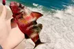 Group or Private Fishing Tour for Two or Four People at Ns Shore Tour Guide - Up to 30% Off - Second Medium